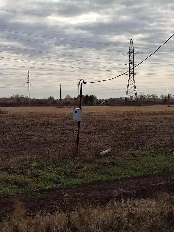 Участок в Омская область, Омский район, с. Лузино Дачная ул., 29 (15.0 ... - Фото 1