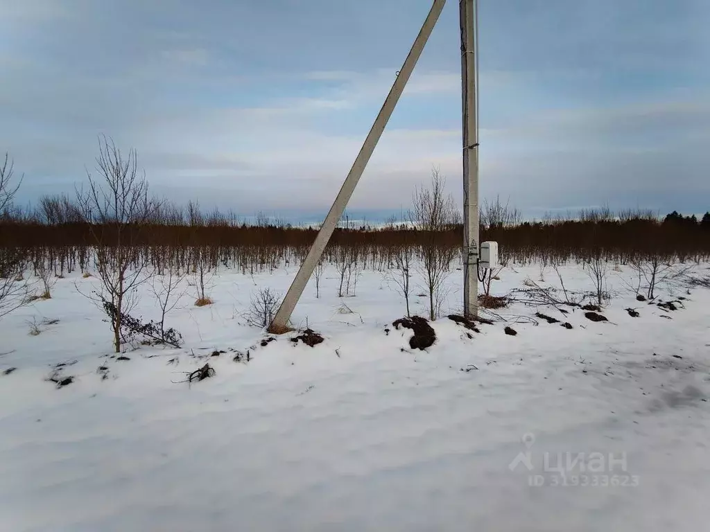 Участок в Московская область, Рузский муниципальный округ, д. Леньково ... - Фото 0