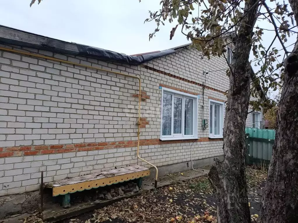Дом в Белгородская область, Вейделевский район, с. Закутское ул. ... - Фото 0