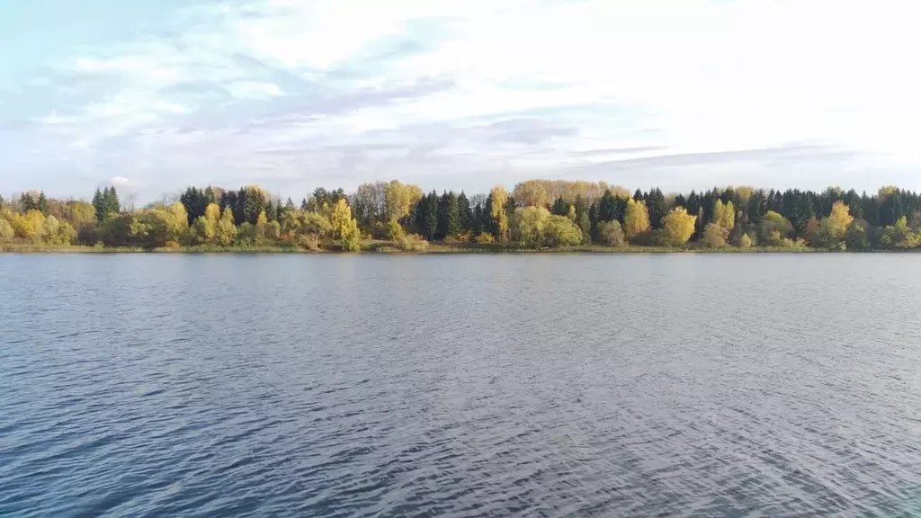 Участок в Московская область, Солнечногорск городской округ, д. ... - Фото 2