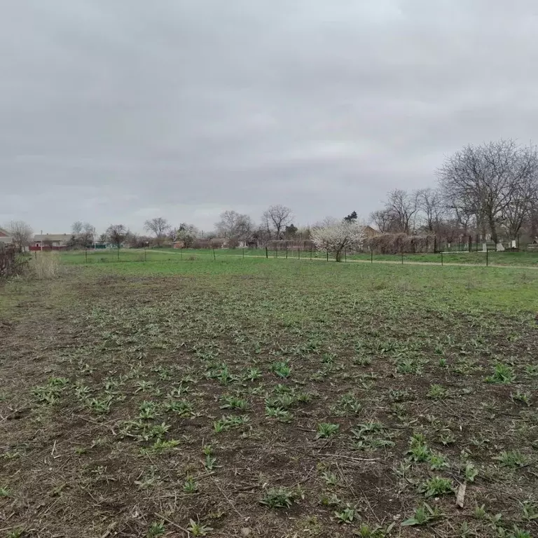 Участок в Краснодарский край, Щербиновский район, с. Николаевка ул. ... - Фото 2