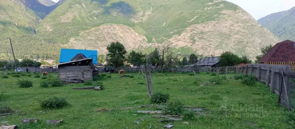 Участок в Алтай, Улаганский район, с. Балыкча Богатырская ул. (19.0 ... - Фото 1