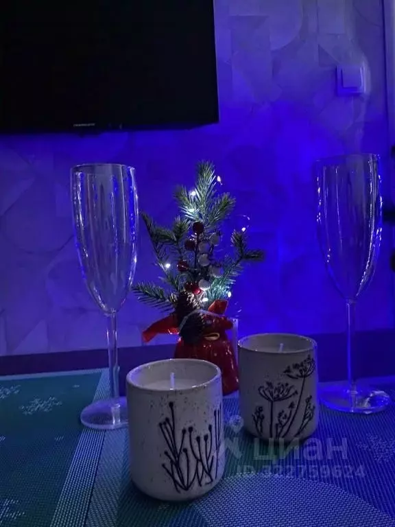 1-к кв. Ленинградская область, Выборг ул. Сторожевой Башни, 10 (16.0 ... - Фото 1