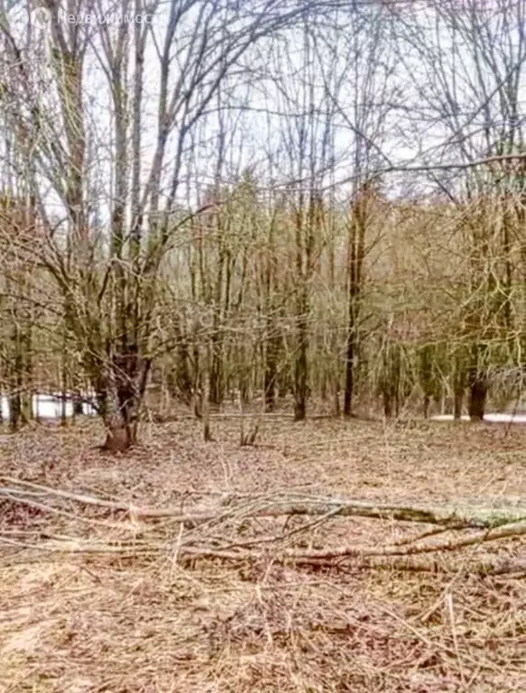 Участок в Волосовский район, Бегуницкое сельское поселение, деревня ... - Фото 2