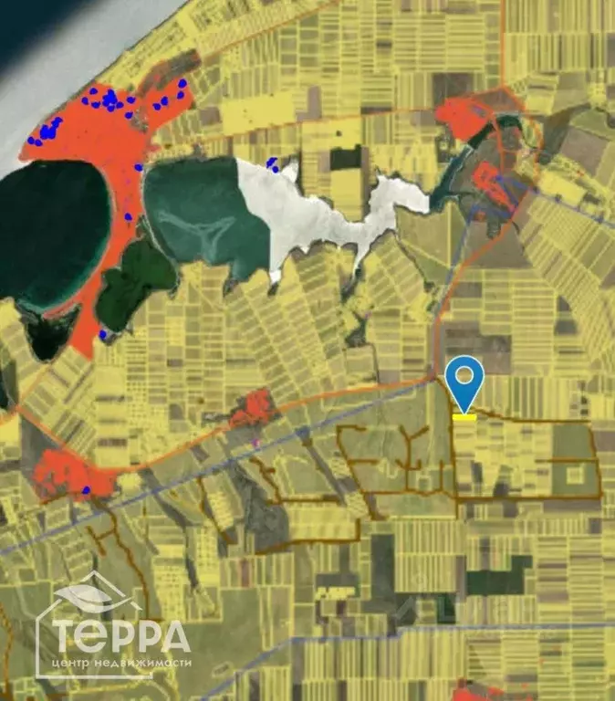 Участок в Крым, Черноморский район, с. Межводное  (379.1 сот.) - Фото 1