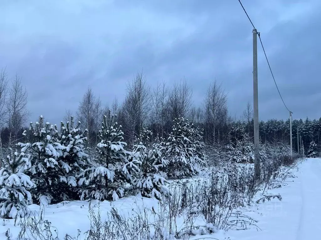Участок в Владимирская область, Киржачский муниципальный округ, д. ... - Фото 1