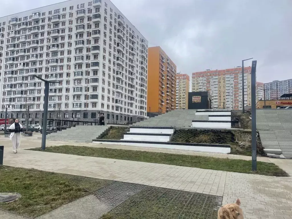 Помещение свободного назначения в Краснодарский край, Новороссийск ул. ... - Фото 2