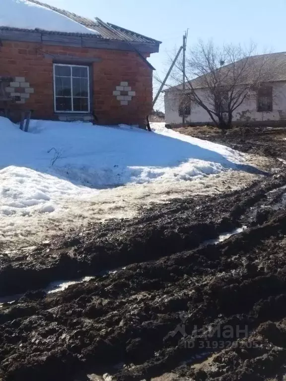 Помещение свободного назначения в Оренбургская область, Кваркенский ... - Фото 1