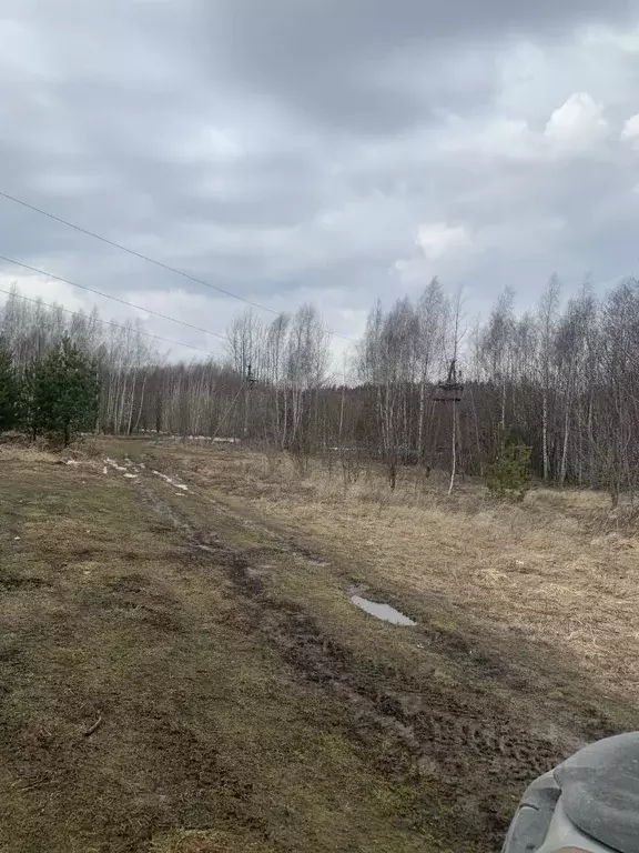 Участок в Нижегородская область, Богородский муниципальный округ, ... - Фото 1