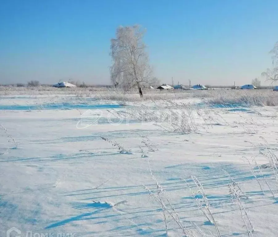 Участок в Тюменская область, Тюменский район, д. Марай  (11.29 сот.) - Фото 1