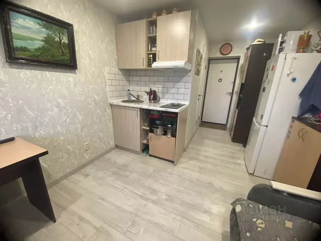 Студия Алтайский край, Барнаул городской округ, Южный рп ул. ... - Фото 1