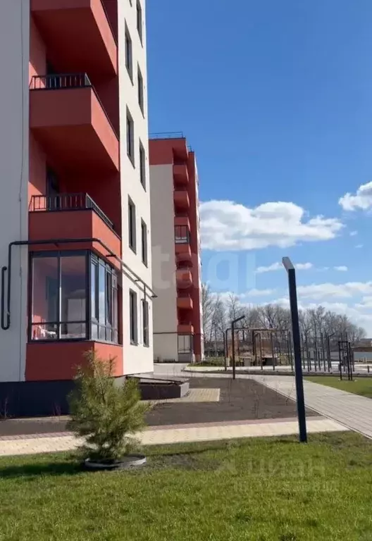 1-к кв. Белгородская область, Белгородский район, Дубовское с/пос, ... - Фото 1