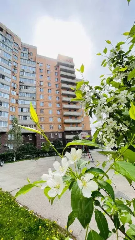 1-к кв. Самарская область, Тольятти Спортивная ул., 6 (45.0 м) - Фото 1