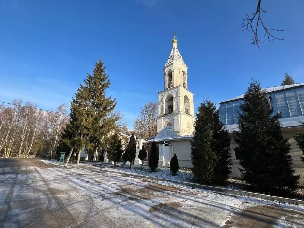 Участок в Московская область, Серпухов городской округ, Новые Велеми ... - Фото 1