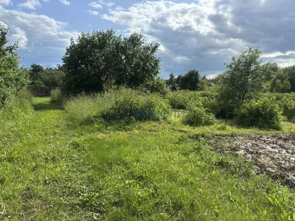 Участок в Нижегородская область, Богородский муниципальный округ, ... - Фото 1