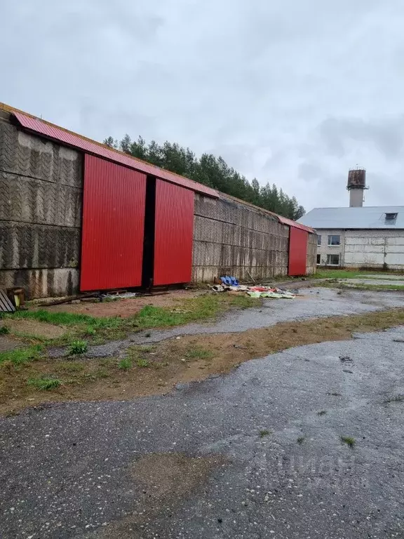 Производственное помещение в Тверская область, Весьегонск ул. Павлика ... - Фото 1