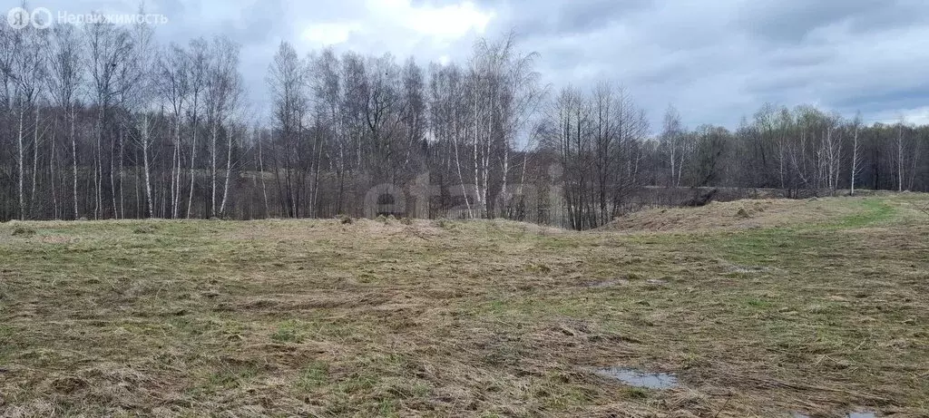 Участок в Московская область, городской округ Коломна, деревня ... - Фото 2