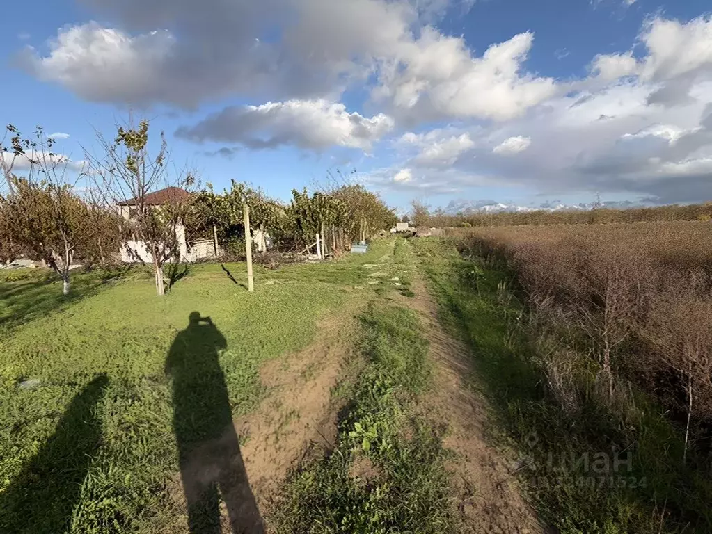 Участок в Краснодарский край, Анапа муниципальный округ, пос. ... - Фото 2