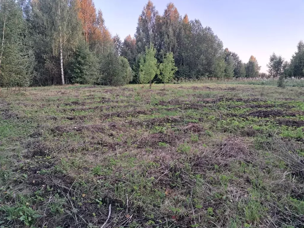 Участок в Тверская область, Кашинский городской округ, д. Горки  (38.0 ... - Фото 1