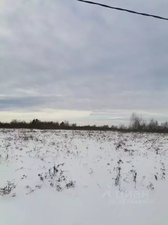 Участок в Московская область, Можайский городской округ, Клеверово кп  ... - Фото 0