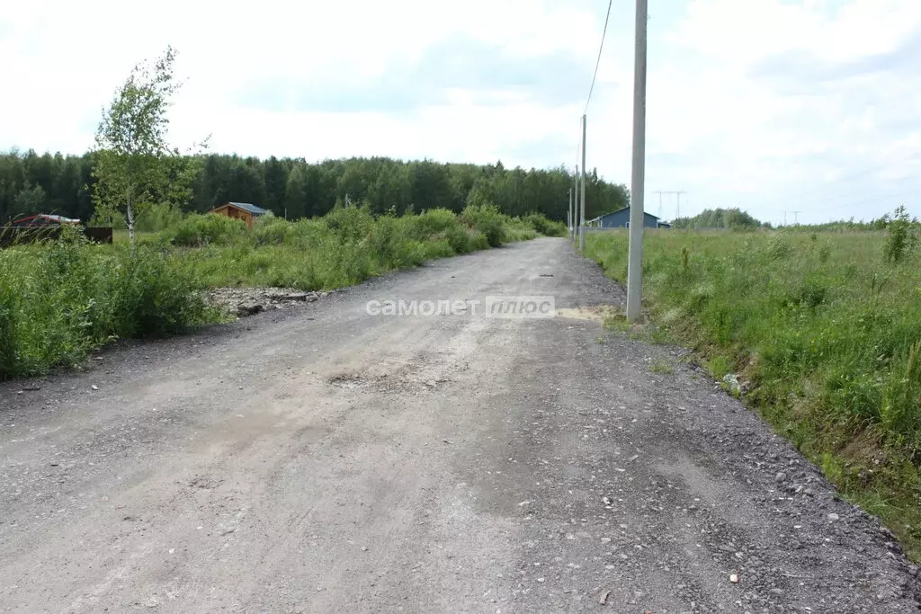 Участок в Московская область, Богородский городской округ, КП Новое ... - Фото 1