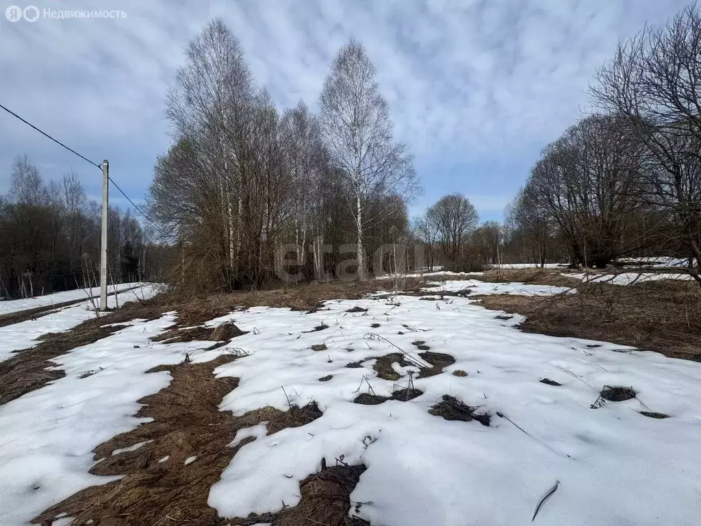 Участок в Сергиево-Посадский городской округ, деревня Пузино (30 м) - Фото 2