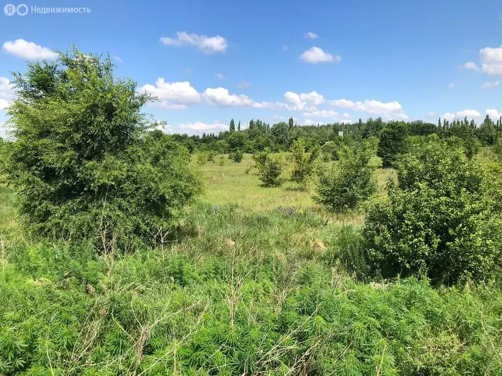 Участок в Воронеж, индустриальный парк Масловский (17 м) - Фото 0