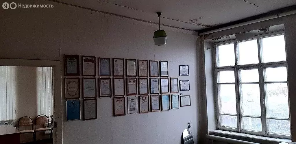 Помещение свободного назначения (24.7 м) - Фото 1