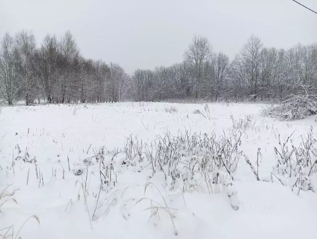 Участок в Московская область, Клин городской округ, д. Елгозино  ... - Фото 0