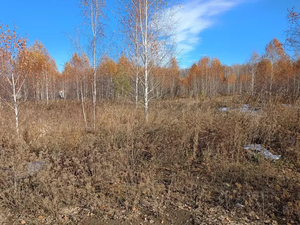 Участок в Челябинская область, Сосновский район, Кременкульское с/пос, ... - Фото 0