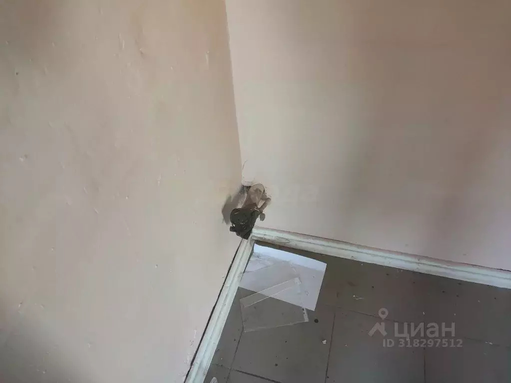 Помещение свободного назначения в Ульяновская область, Ульяновск ... - Фото 1