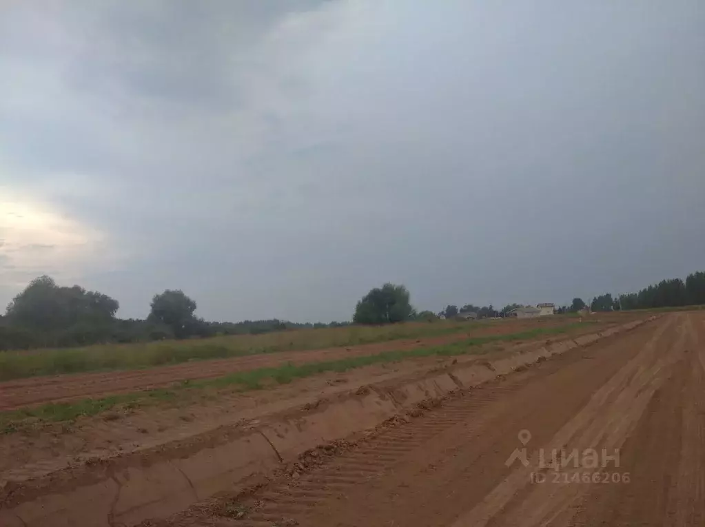 Участок в Новгородская область, Новгородский район, д. Сопки ул. ... - Фото 0