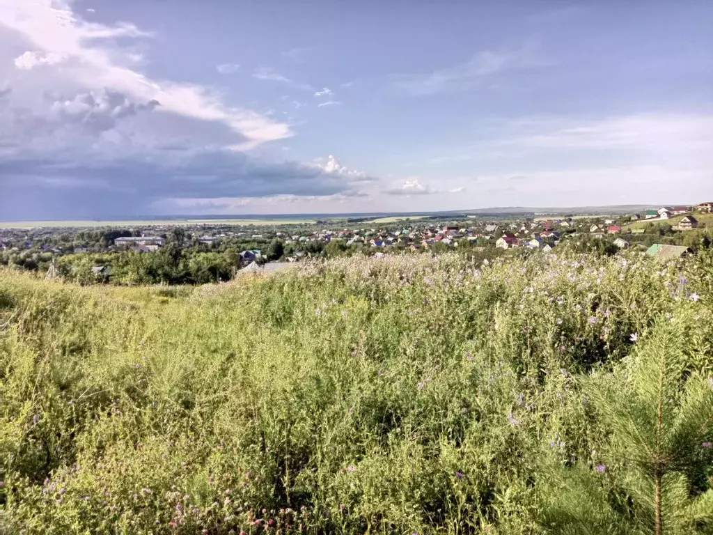 Участок в Алтайский край, Белокуриха Раздольная ул. (8.0 сот.) - Фото 0