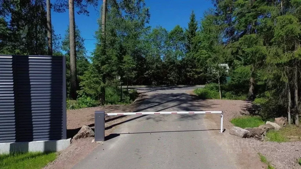Участок в Ленинградская область, Выборгский район, Рощинское городское ... - Фото 2