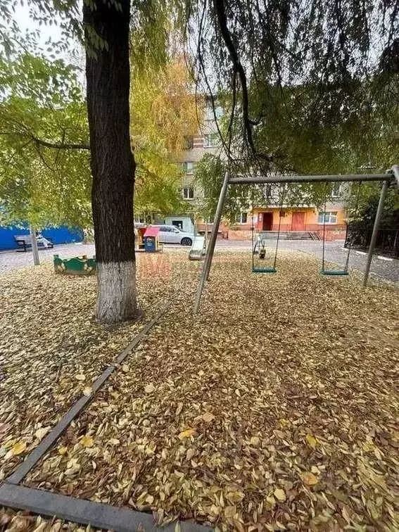 1-к кв. Белгородская область, Старый Оскол Интернациональный мкр, 13 ... - Фото 1