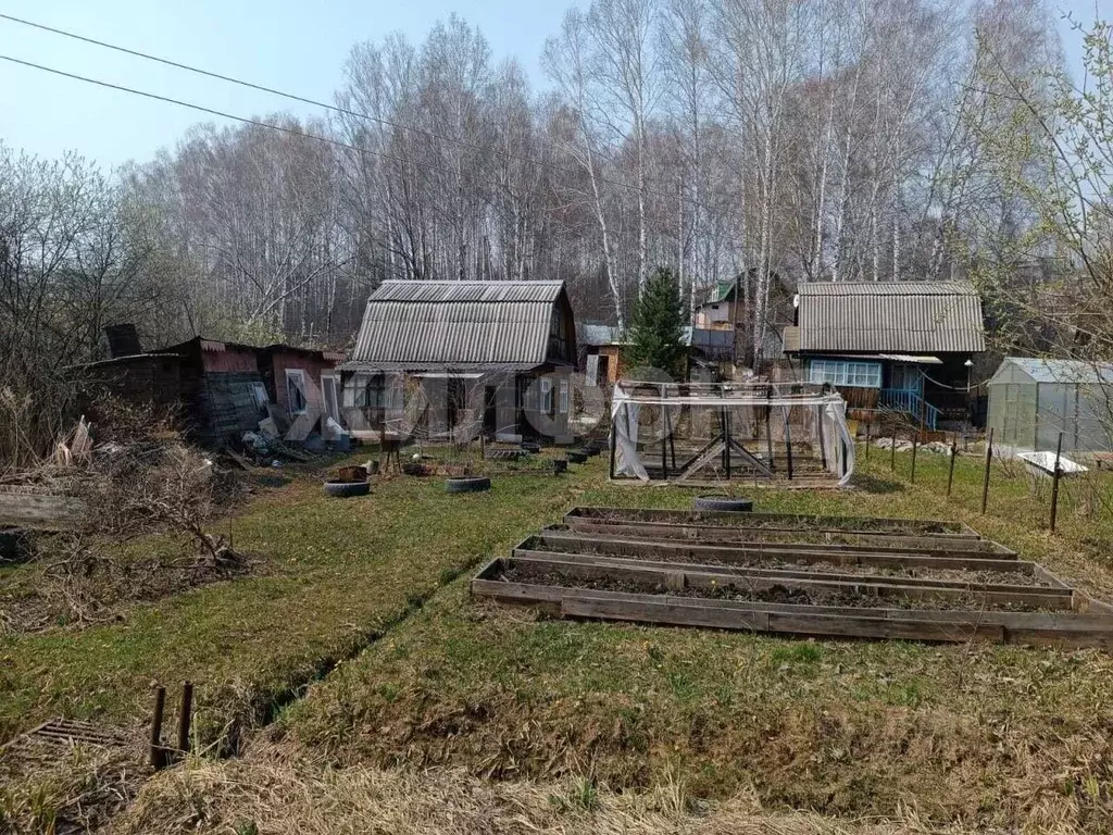 Участок в Новосибирская область, Новосибирск ул. Гусинобродский Тракт ... - Фото 1