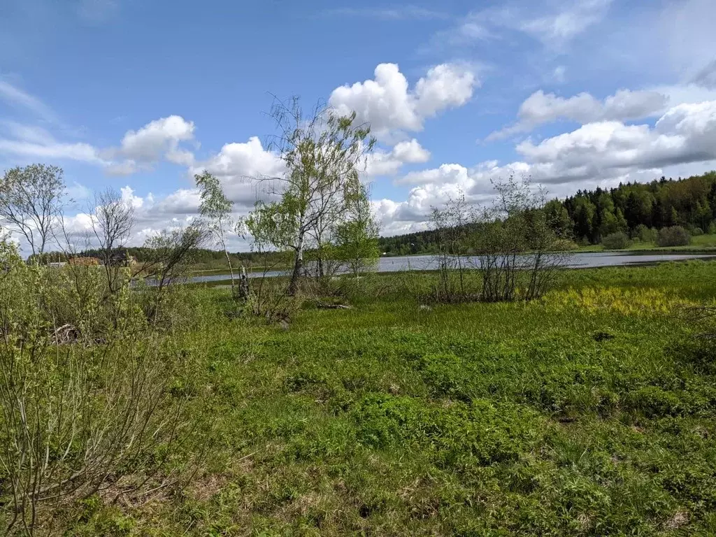 Участок в Московская область, Сергиево-Посадский городской округ, д. ... - Фото 1