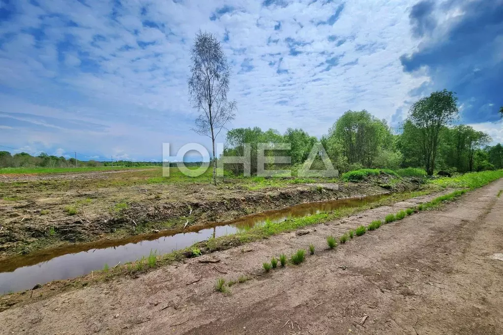 Участок в Новгородская область, Новгородский район, Савинское с/пос, ... - Фото 1