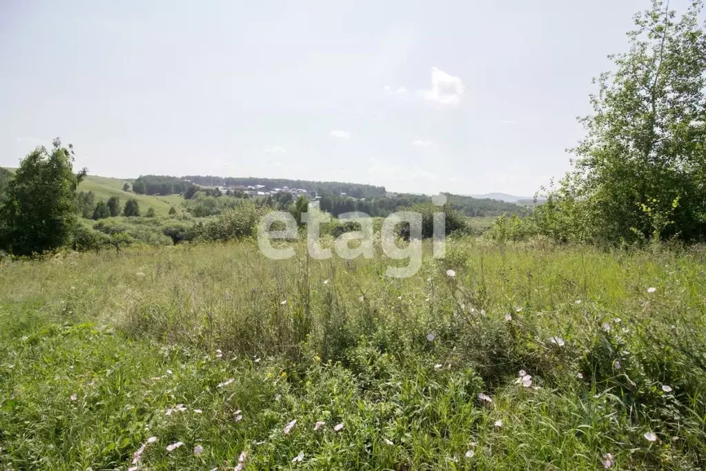 участок в красноярский край, красноярск восход снт, (12.0 сот.) - Фото 0