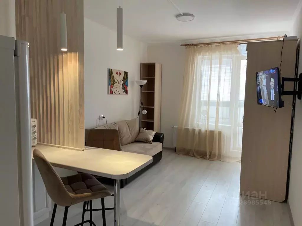 Студия Санкт-Петербург ул. Комиссара Грушко, 6 (24.0 м) - Фото 1