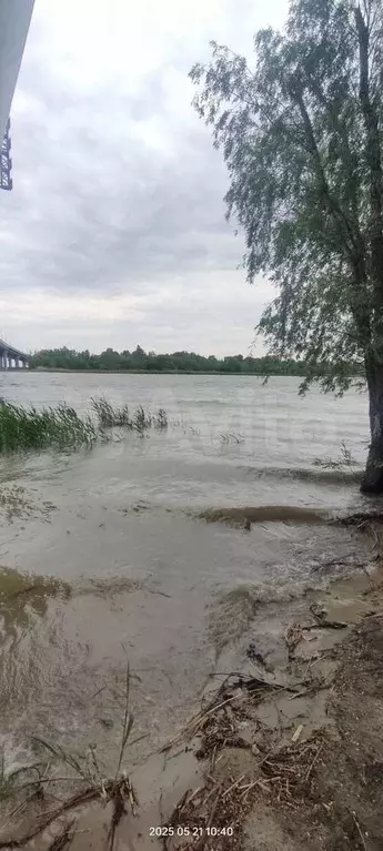 Участок 3,3 сот. (СНТ, ДНП) - Фото 0