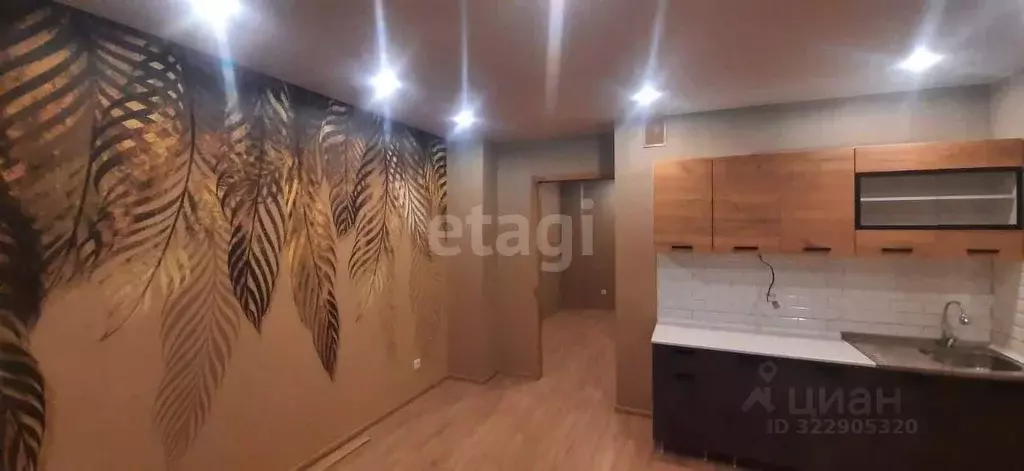 Студия Ростовская область, Ростов-на-Дону ул. Оганова, 20с1 (25.0 м) - Фото 1