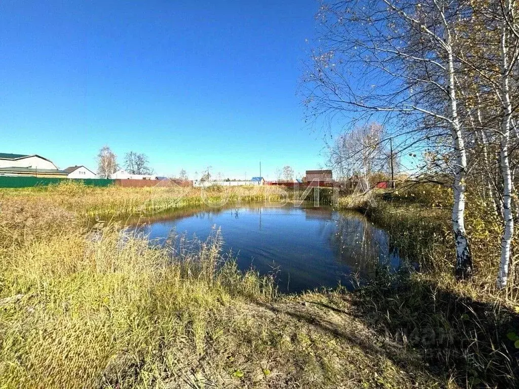 Участок в Тюменская область, Нижнетавдинский муниципальный округ, ... - Фото 2