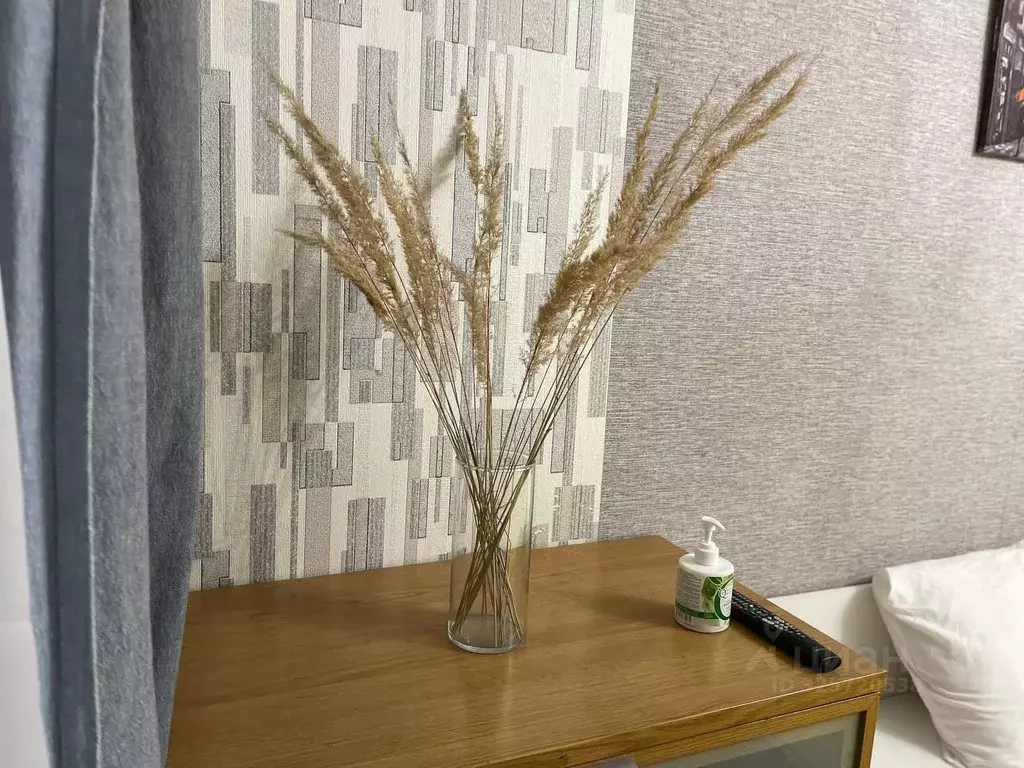 1-к кв. Московская область, Домодедово Северный мкр, ул. Дачная, 25 ... - Фото 2