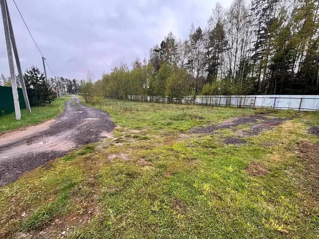Участок в Московская область, Щелково городской округ, д. Протасово, ... - Фото 1