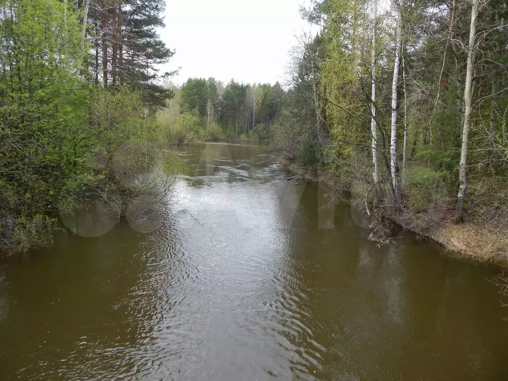 Участок 8 сот. (СНТ, ДНП) - Фото 1