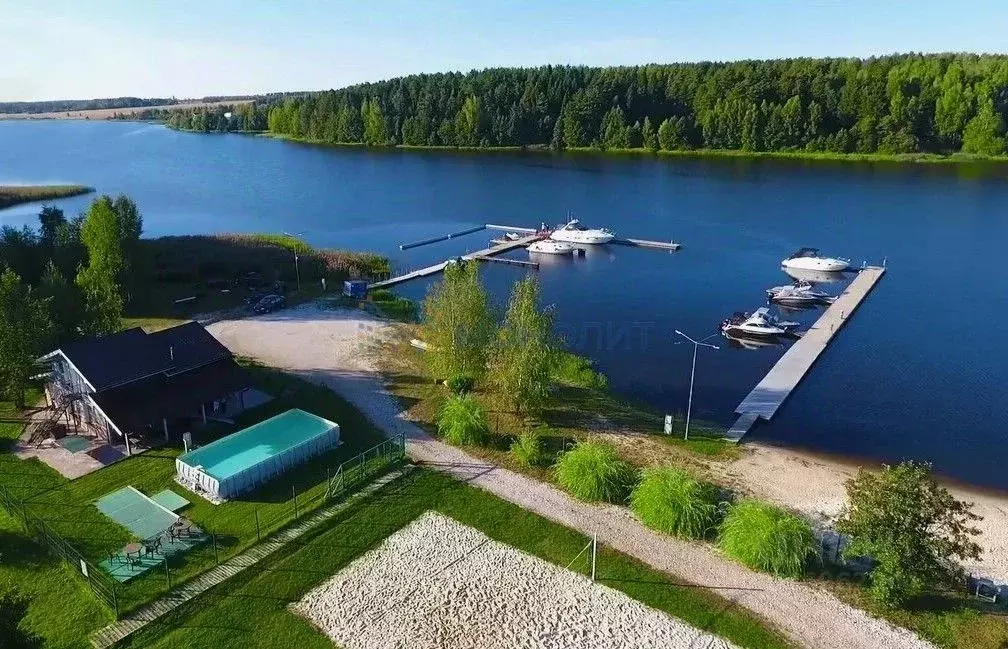Участок в Нижегородская область, Чкаловск муниципальный округ, д. ... - Фото 1
