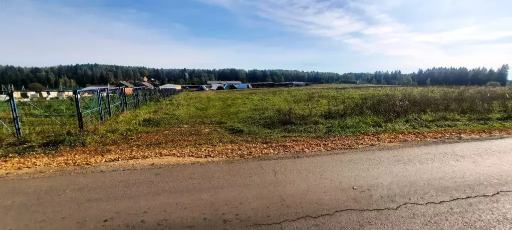 Участок в Московская область, Солнечногорск городской округ, д. ... - Фото 0