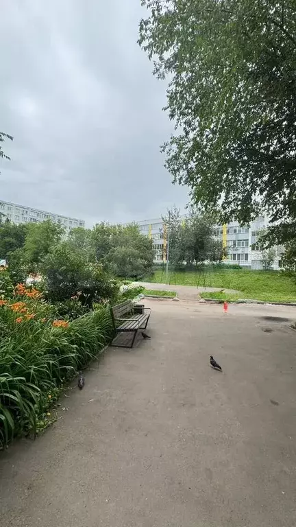 3-к. квартира, 66 м, 6/9 эт. - Фото 0