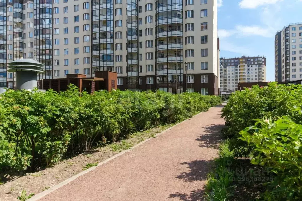 1-к кв. Санкт-Петербург просп. Ветеранов, 171к2 (36.6 м) - Фото 1